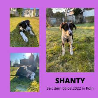 25 01 09 shanty