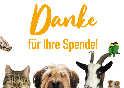 26 06 30 spendenplattformen